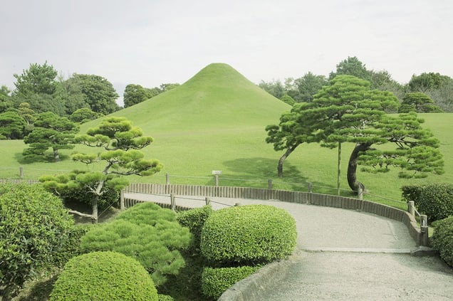 Fuji garden