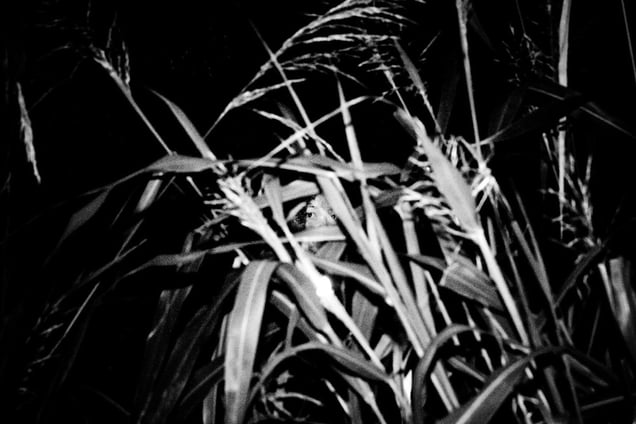 Inside My Head- Aji Susanto Anom - Siem Reap 2015