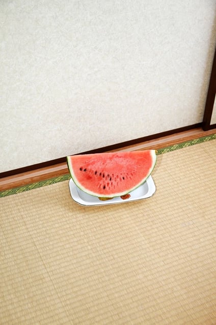 © Kippo (Yoshinori) Mizutani