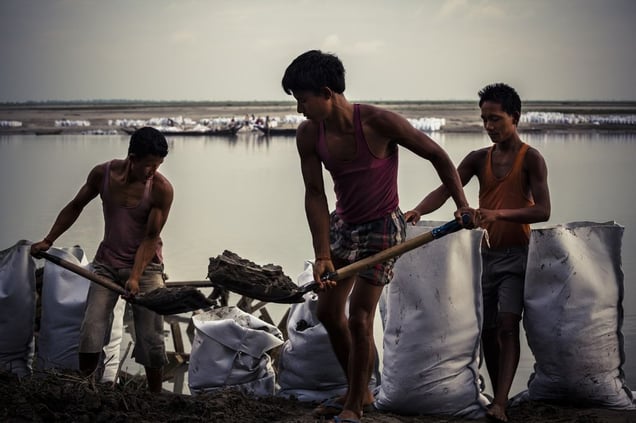 Brahmapoutre © Franck Vogel