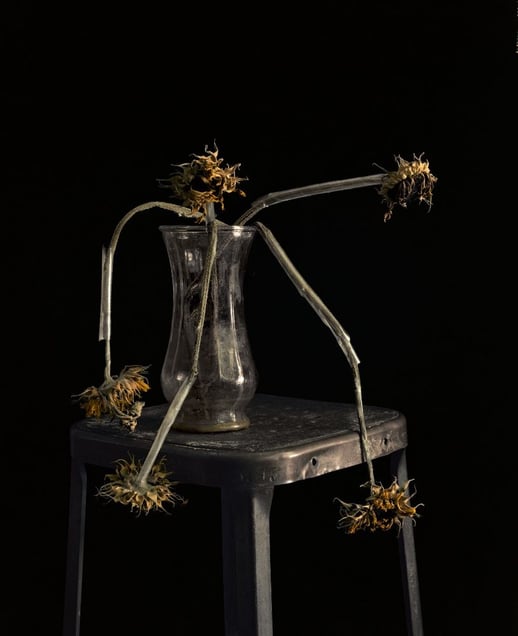 Flowers XXIII.  From the series "The Japan Diaries." Showing at Christophe Guye Galerie. Courtesy of PhotoLondon.