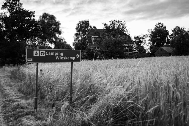 Countryside landscapes