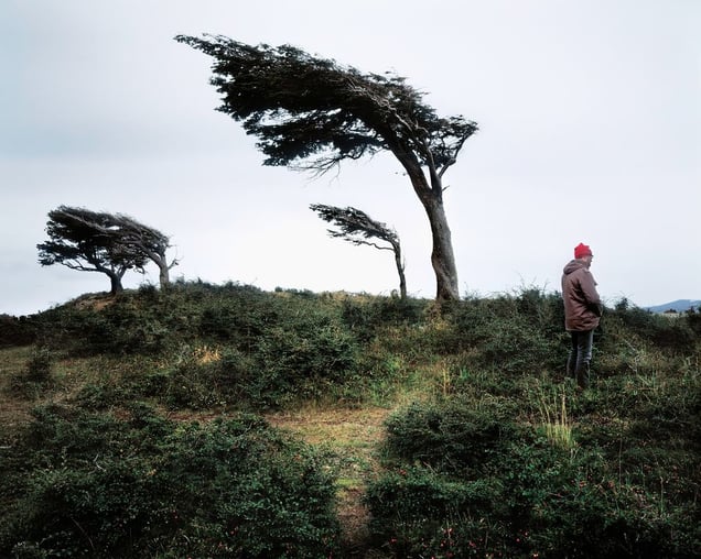 Pissing Against the Prevailing Wind
