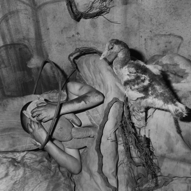 Companion, 2006, from the series Boarding House © Roger Ballen