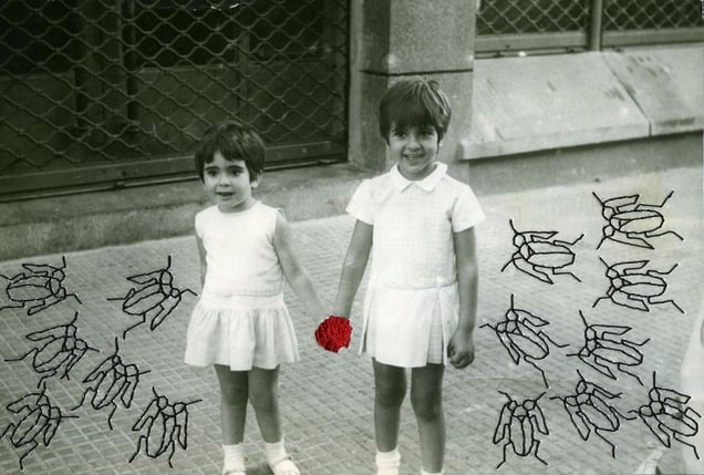 les cafards / the cockroachs, from the series Photos-Souvenirs, © Carolle Benitah