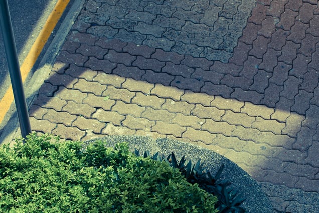 Outside MY Windows 930am