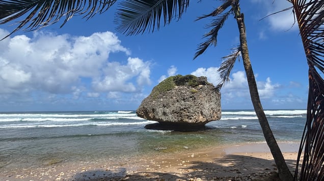 Bathsheba Park, Barbados