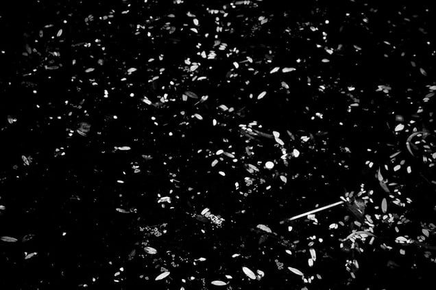 Inside My Head- Aji Susanto Anom - Siem Reap 2015