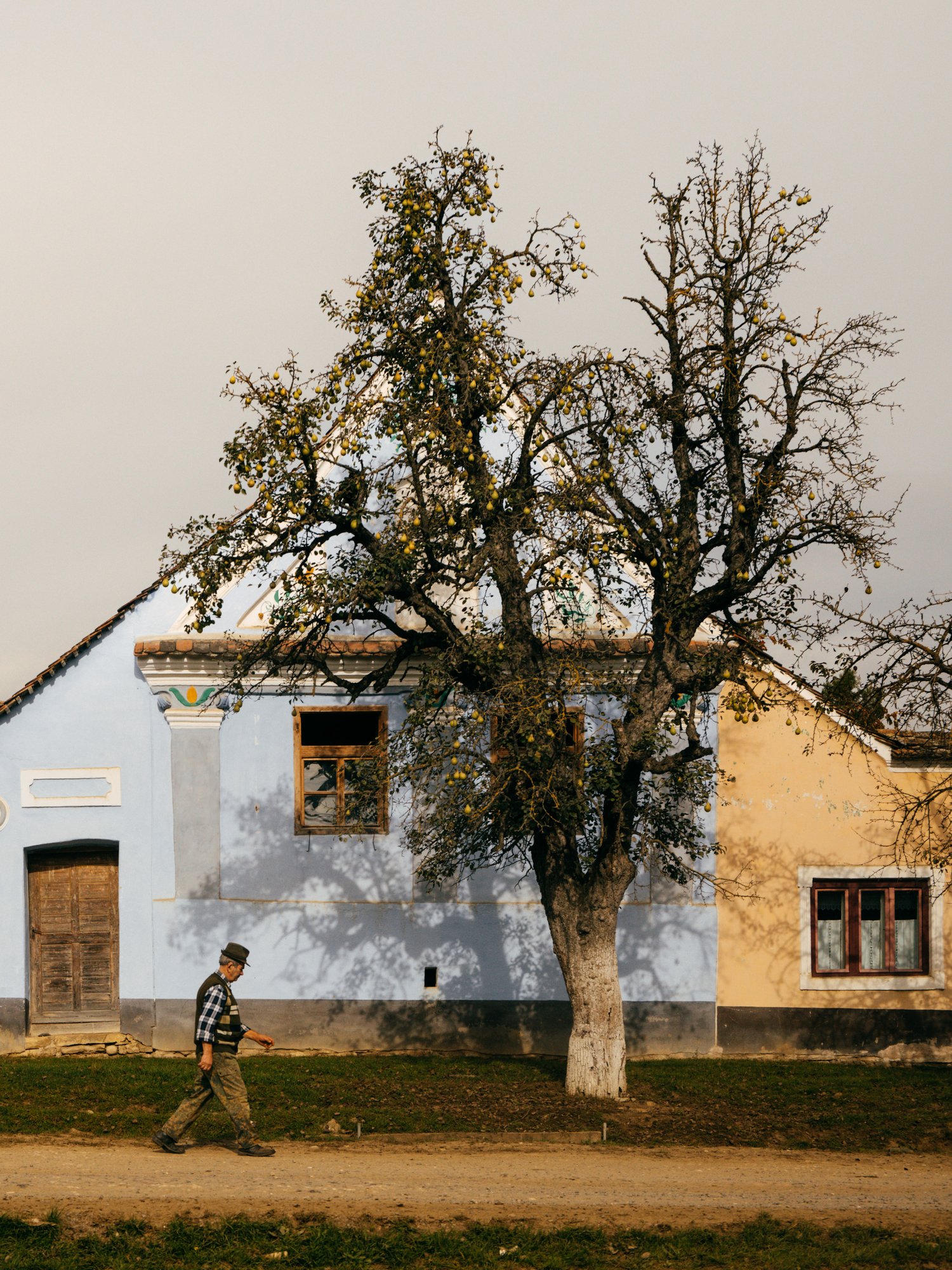 The Unhurried Country