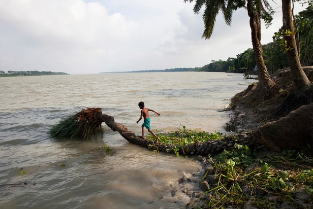 Eroded riverbank in Morrelganj, Bagerhat,Bangladesh