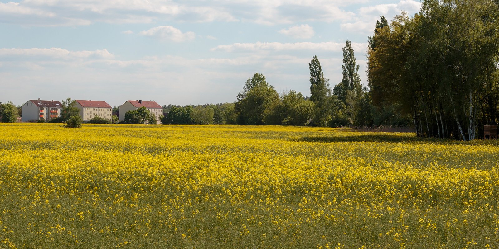 Plattenland
