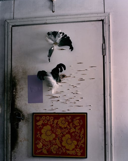 From the series "Ukkometso" © Aapo Huhta