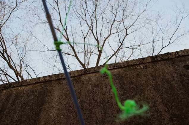 A thread, green as hope, which will never break, not even in the saddest moments. © Fabio Moscatelli