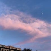 Rafel Gayà