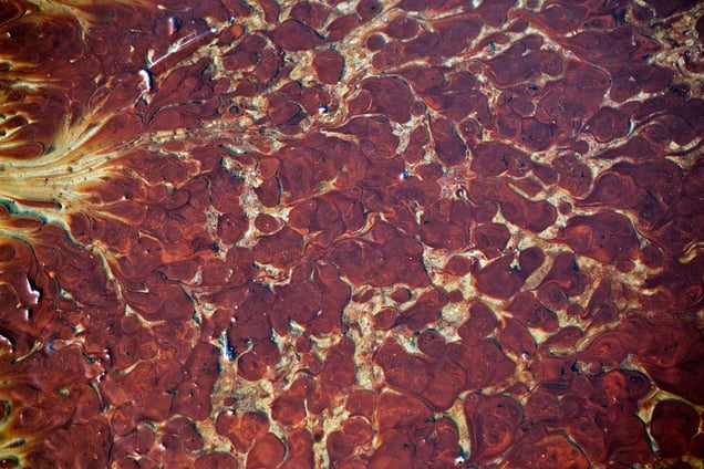 1st Prize stories © Benjamin Lowy, USA, Reportage by Getty Images for GQ. Gulf of Mexico oil spill