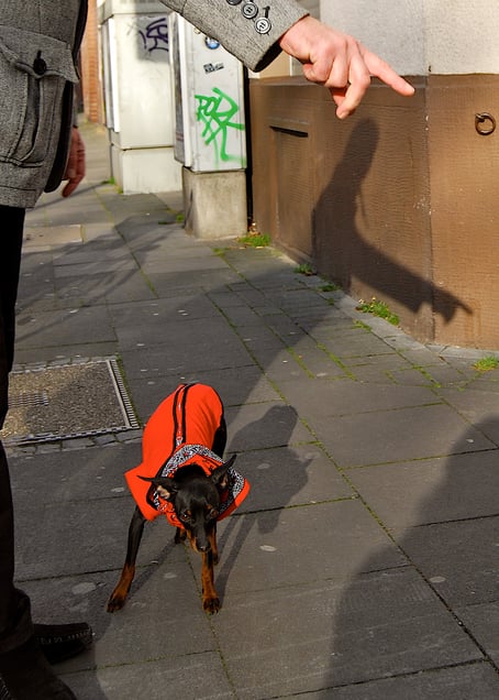 "OBEY!"