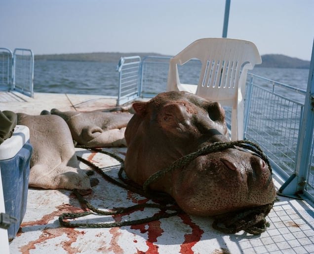 untitled # VIII, lake kariba, zimbabwe-from the series 'hunters'-David Chancellor