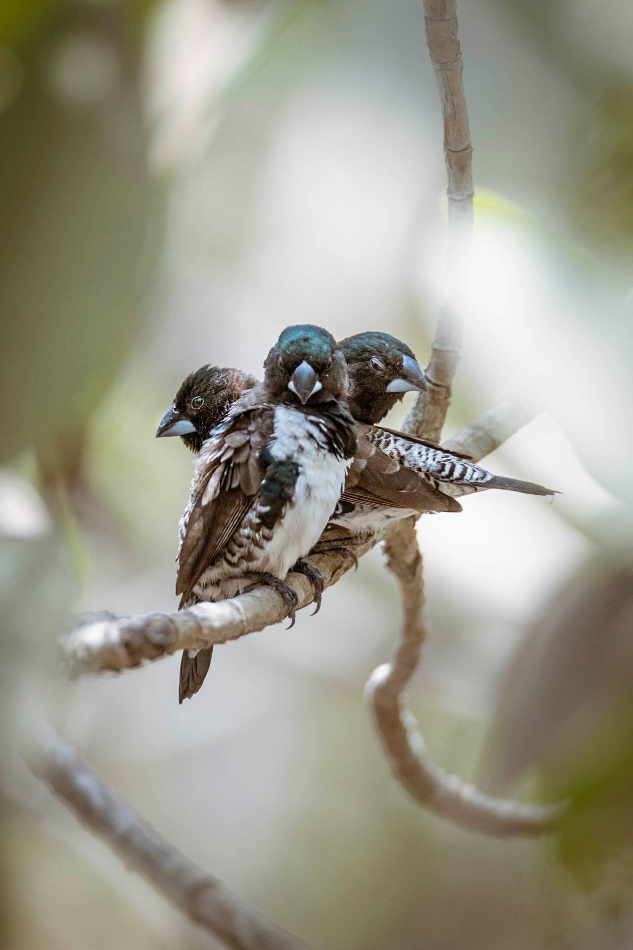 winner of photography awards