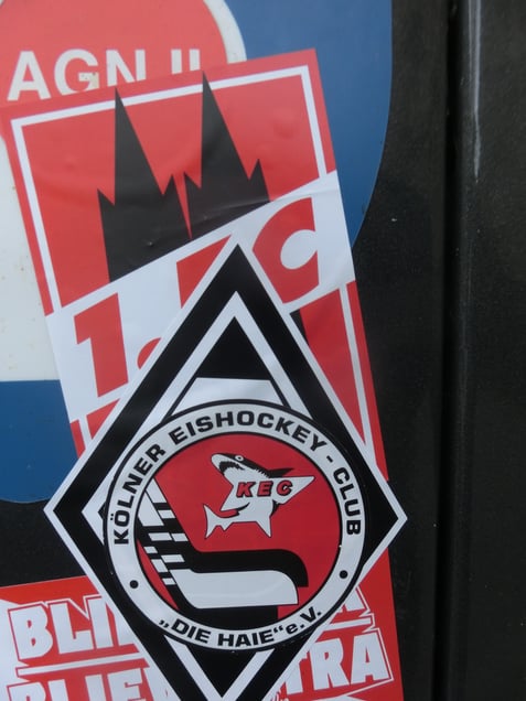 "COOL SHARKONADO COLONIA"