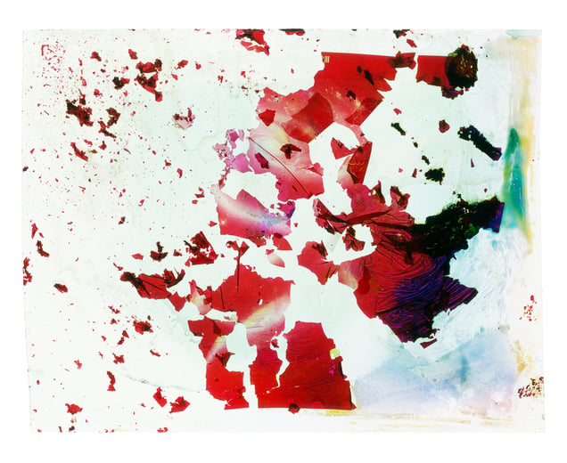 A Photograph of the Baby Boom Galaxy Eaten by Bacteria Found in My Father's Saliva