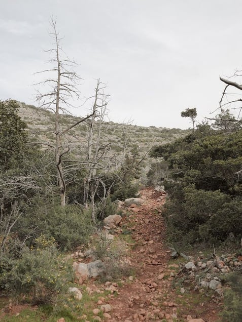 Goat track used by British Commandos in the raid on Rommel’s headquarters near Al Bayda, Libya. From the book "Topography is Fate: North African Battlefields of World War II" | © Matthew Arnold Photography