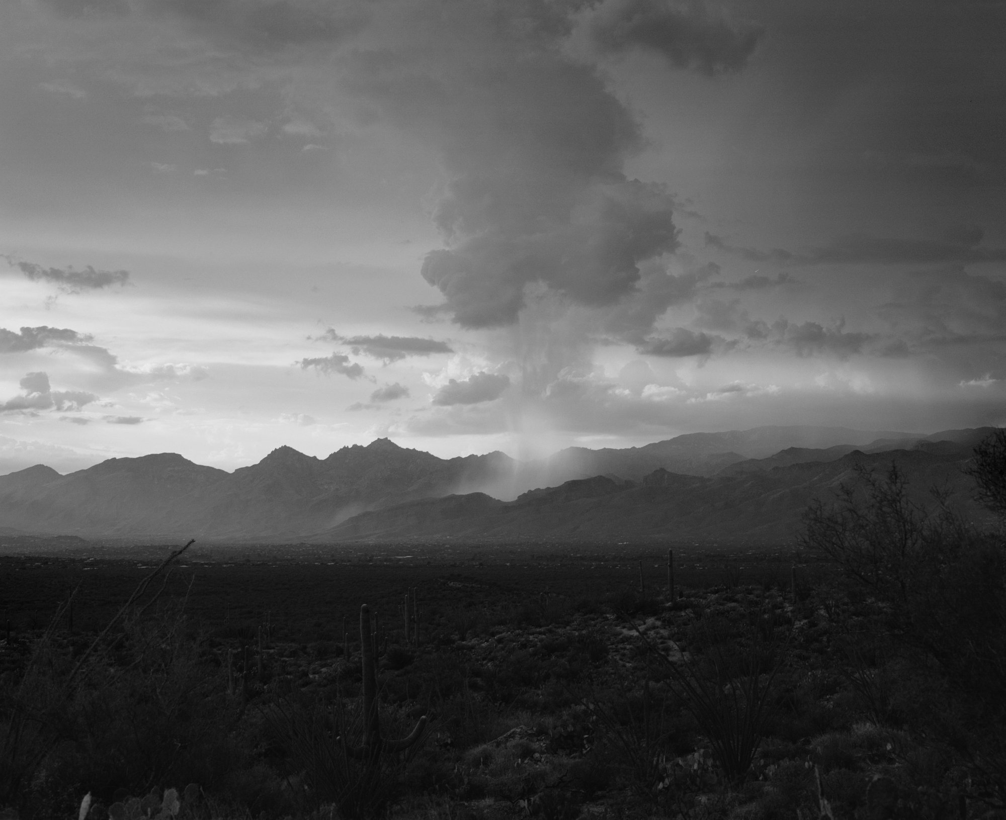 Monsoon Over the Catalinas © Andrea Koesters