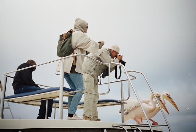 This photograph was taken in Walvis Bay, Namibia. This couple of pelicans were quite the attraction on the boat! Two tourist were obstinate about photographing those birds. Finally they were just looking the same.