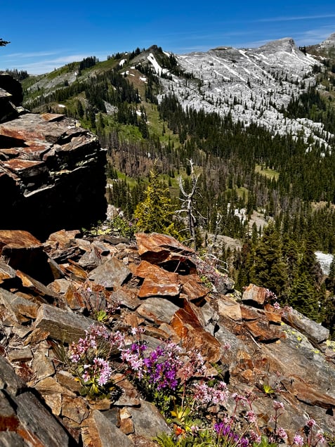 The Marble Rim and Little Marble Valley from a high prominence above the PCT IMG_0738