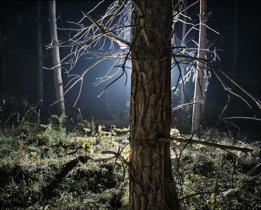 Contemporary Polish Photography
