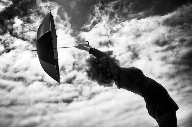 © Marjorie Salvaterra