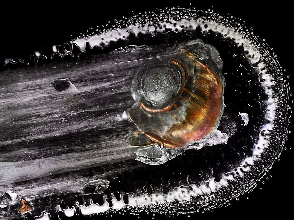 The Big Bang