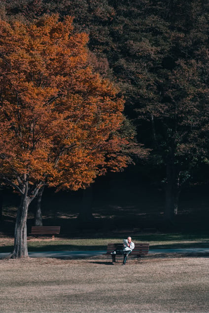 Autumn, Alone