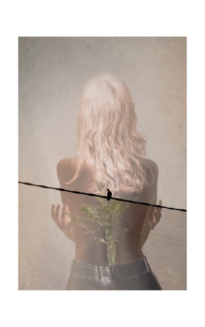 Suspended Germination