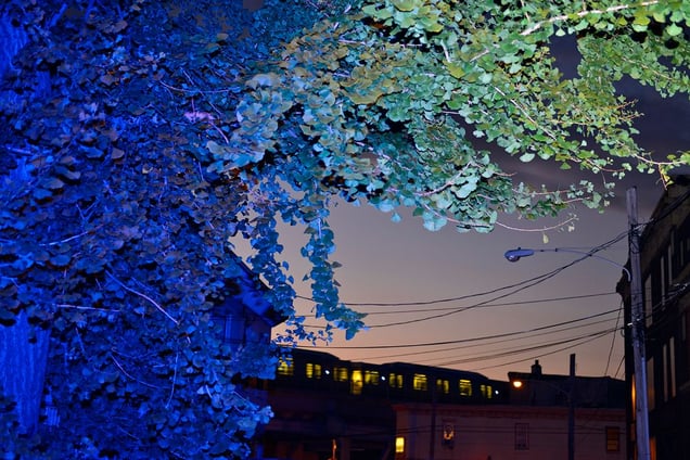 Yellow  EL-  Under the El 7:56PM