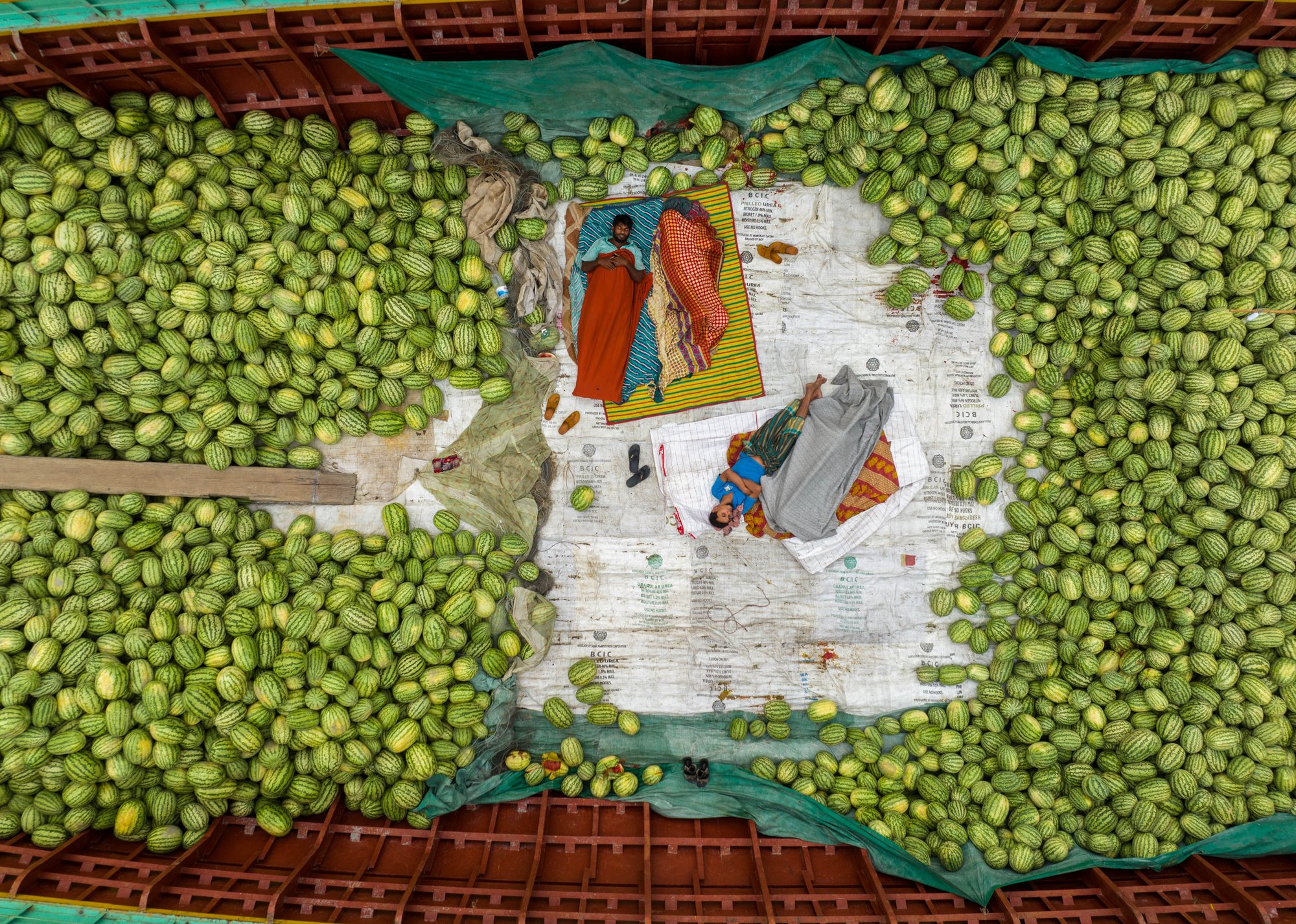 winner of photography awards