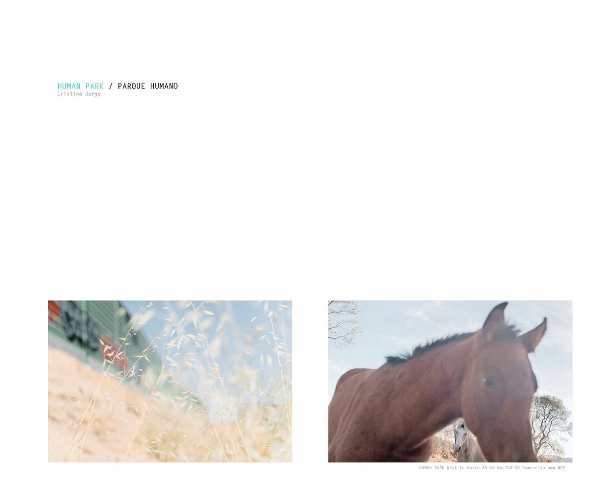 Human park