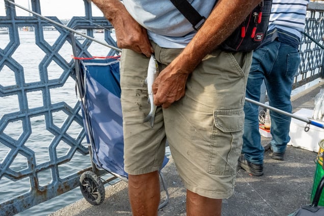 Fish Fly, Istanbul 2025