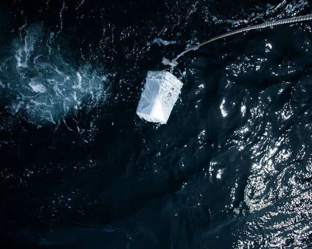 Chum Bucket © Maggie Shannon