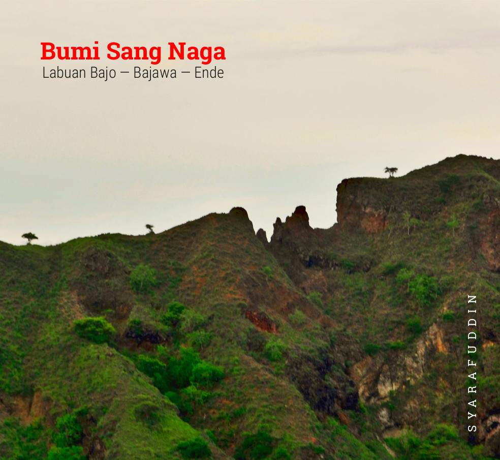 Bumi Sang Naga: Labuan Bajo, Bajawa, Ende (Open Access, id, 2020)