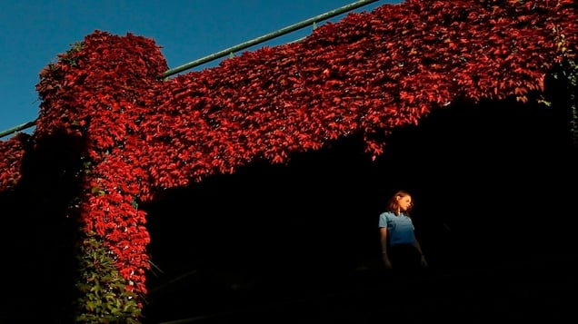 Image from Welcome series, 2014. Courtesy of the artist.