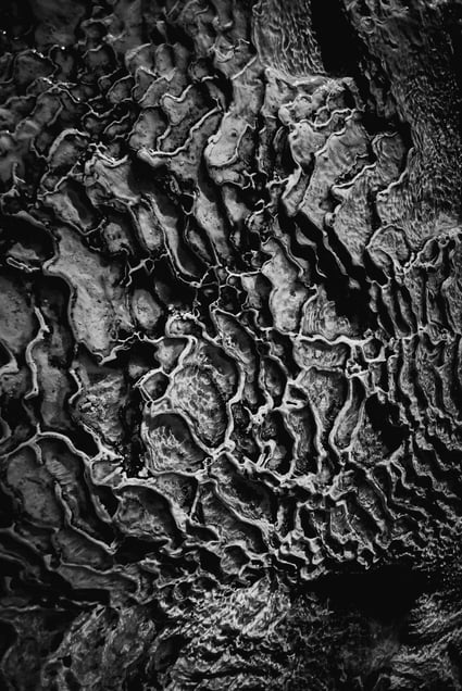 Abstract #12