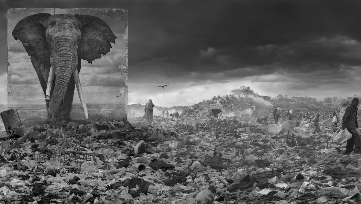WASTELAND WITH ELEPHANT, 2015