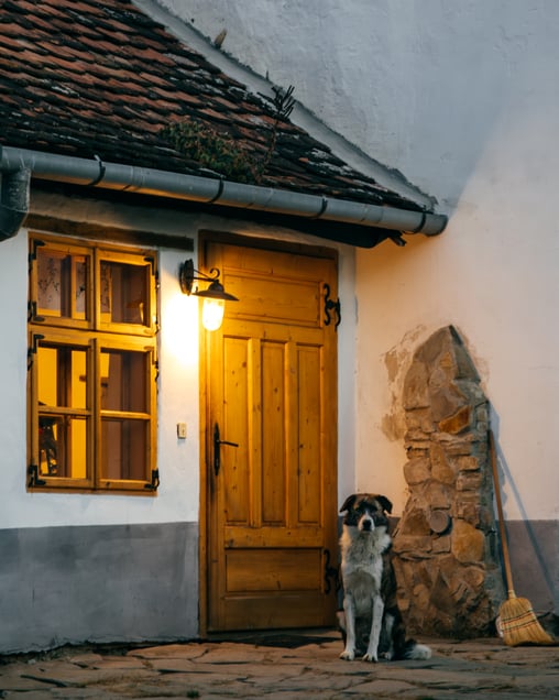 Guardian of the house