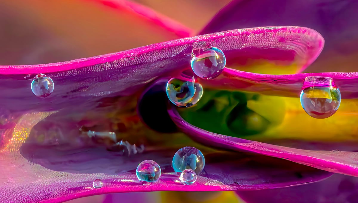 Dewdrop Galaxy