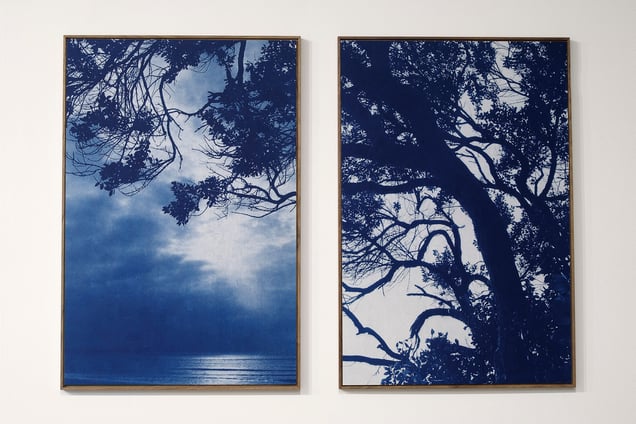 Cyanotype prints on Kozo paper