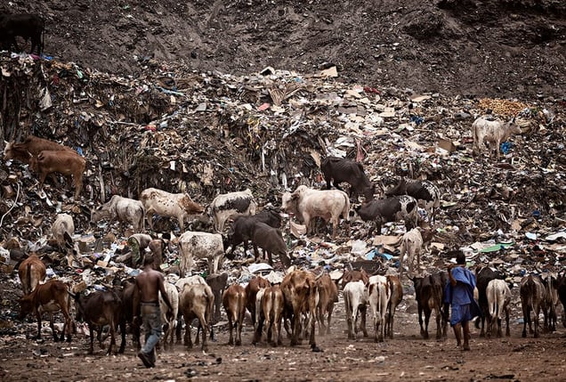 Bamako, Mali: Landfill in the capital, which is located in the near proximity of the river Niger, the only true water source, and only a stone's throw away from the most prestigious hotel in town. © Matjaz Krivic