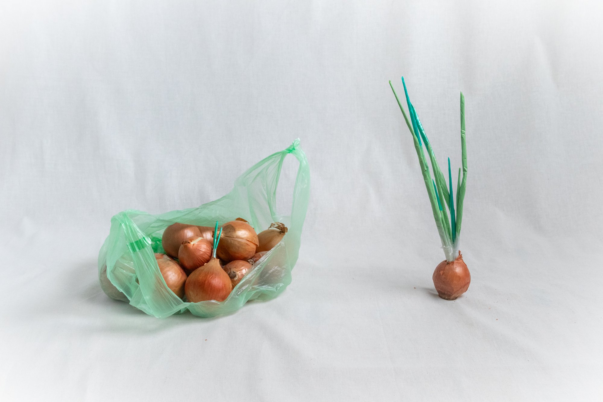 GAME: CELLOPHANE MIMICRY. Products in a cellophane bag, cellophane in products.