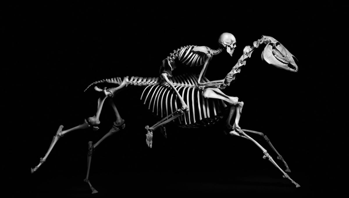 Evolution © Patrick Gries