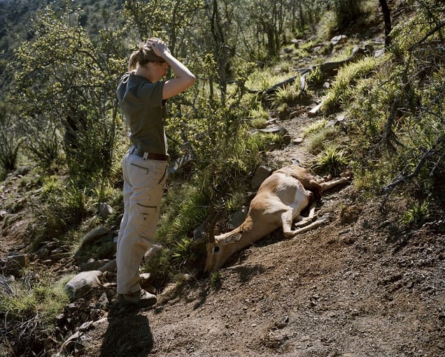 untitled huntress and impala, eastern cape, south africa-from the series 'hunters'-David Chancellor
