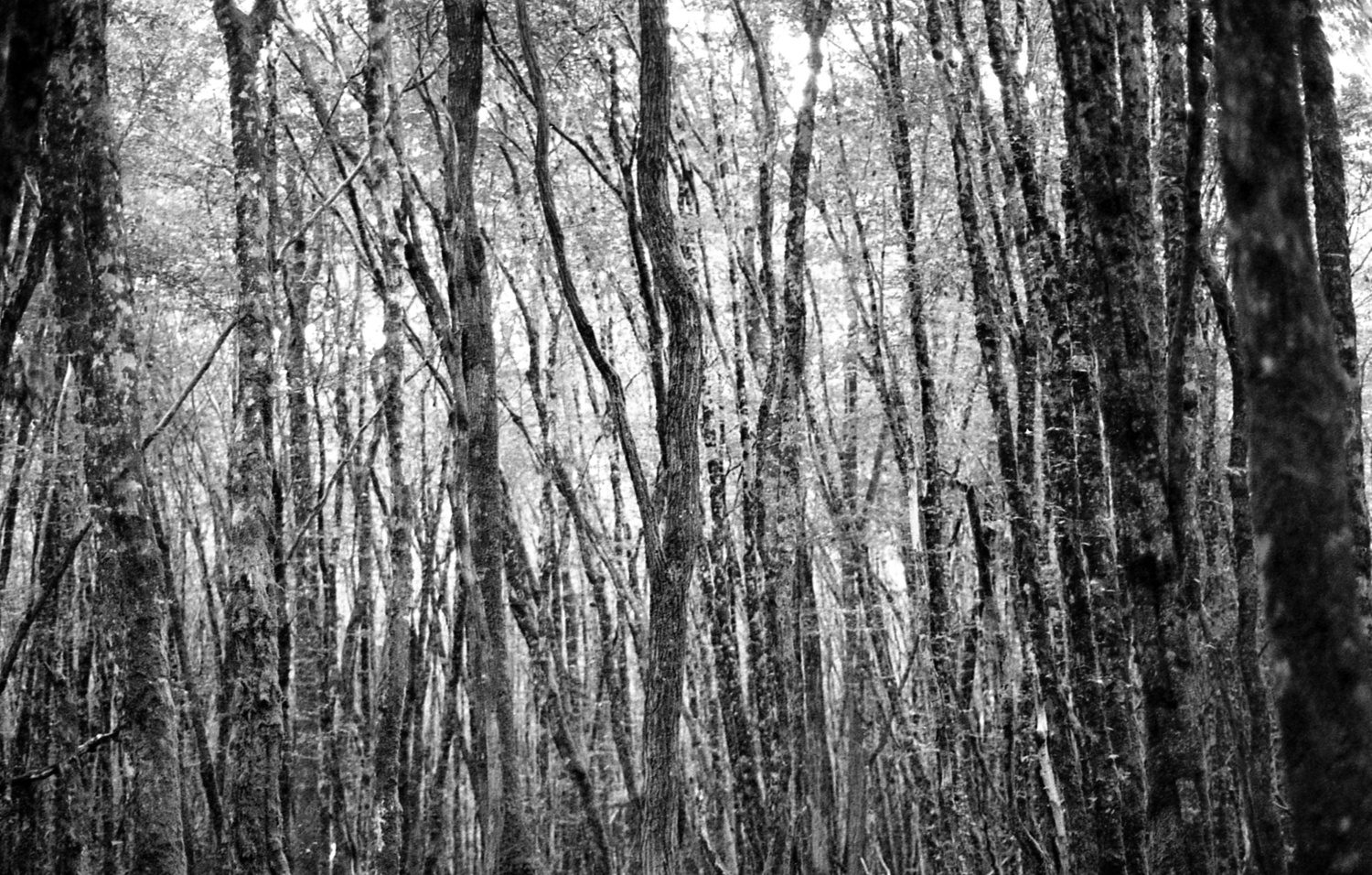 We are one. We are two.